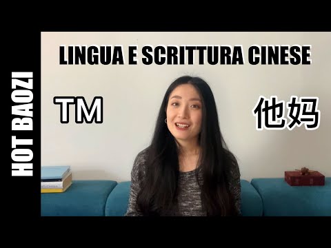 HOTBAOZI | Lingua cinese: breve introduzione e evoluzione della scrittura cinese