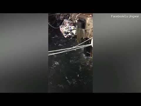 Tens of thousands of fish jump out of water and onto a boat in Taiwan   Daily Mail
