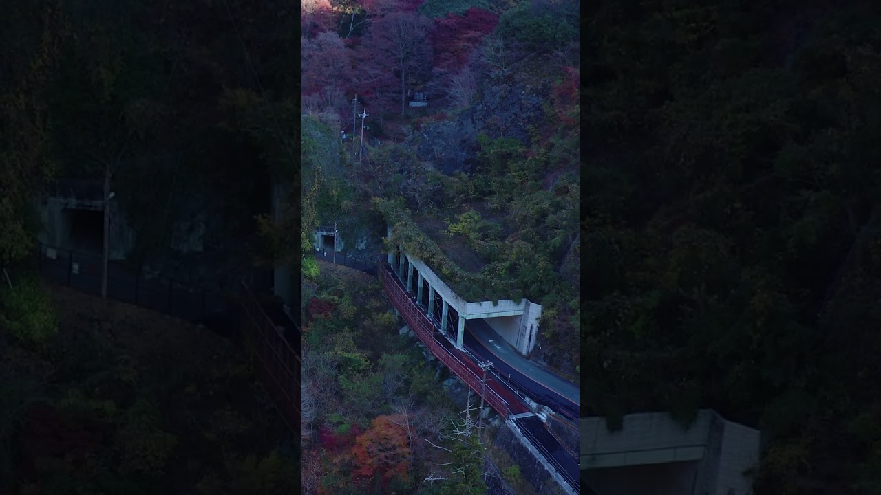 YouTube Short thumbnail