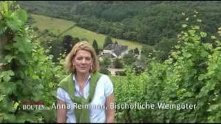 preview picture of video 'Bischöfliche Weingüter'