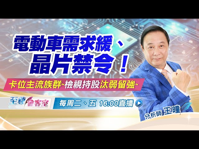 至尊會客室-電動車需求緩、晶片禁令！卡位主流族群~ 檢視持股汰弱留強~
