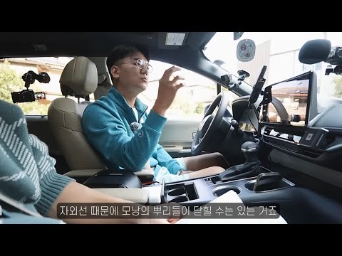 테슬라가 남자들에게 정말 위험한 이유