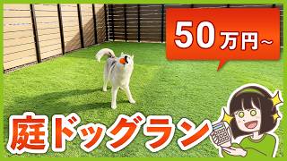 庭のドッグラン費用を大公開！プロが教える設備選びと絶対やっちゃダメなこと３選