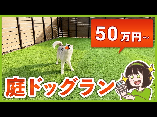 庭のドッグラン費用を大公開!プロが教える設備選びと絶対やっちゃダメなこと3選