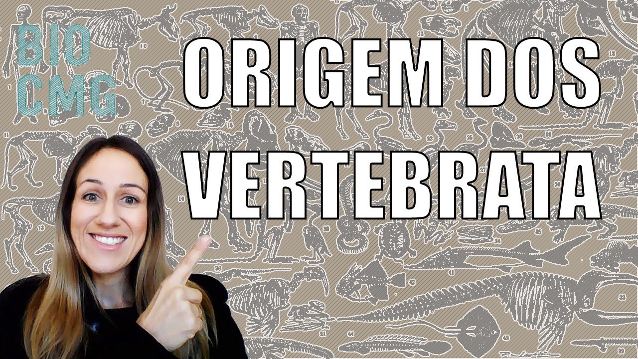 Vertebrados - Origem e Diversificação
