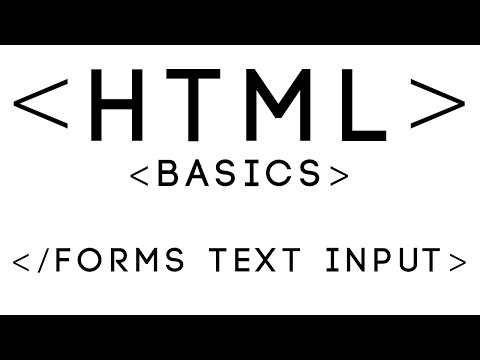 HTML Basics Tutorial 11 Forms Text Input