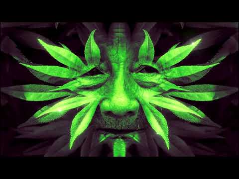 Human Made Shamanic Journey (No AI) - Based in Michael Harner shamanic journey