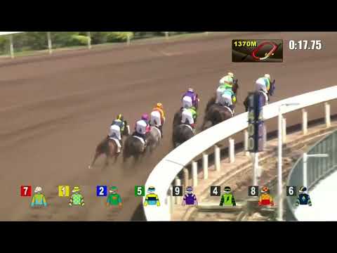 2022 09 25 沙田 第一場 木火兄弟 梁家俊