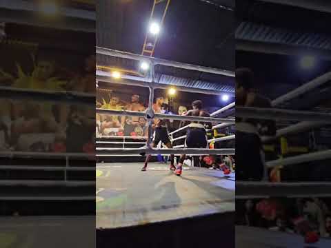 #proboxer ,#statecompetition