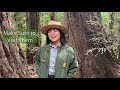 Top Ten Tips for Visiting Muir Woods