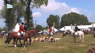 preview picture of video 'Gamefair 2014'