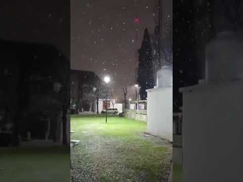 caída de nieve en Tres Arroyos, Buenos Aires.🎥 02/07/2026 #nieve #nevadas