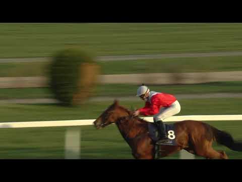 7. dostih - Závěrečná cena sezony 2020 - dostihy Chuchle Arena Praha 21. 11. 2020