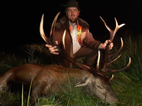 Auftakt zur Hirschjagd in der Oberförsterei Podanin - Polen