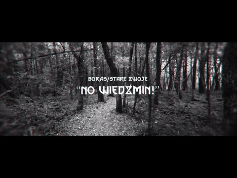 Boras/Stare zwoje - Wiedźmin