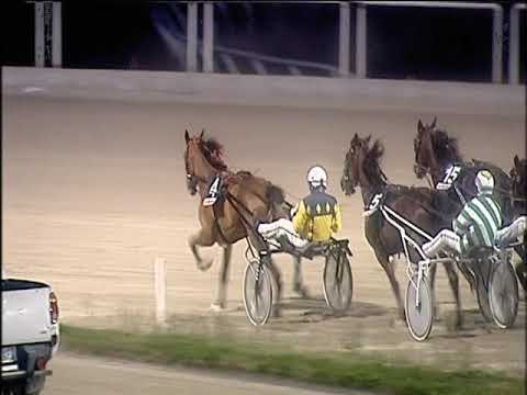 Trotto 27/12/2019 - 7ª corsa