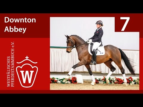 07 Downton Abbey  Wallach v. Don Cesar - Santino