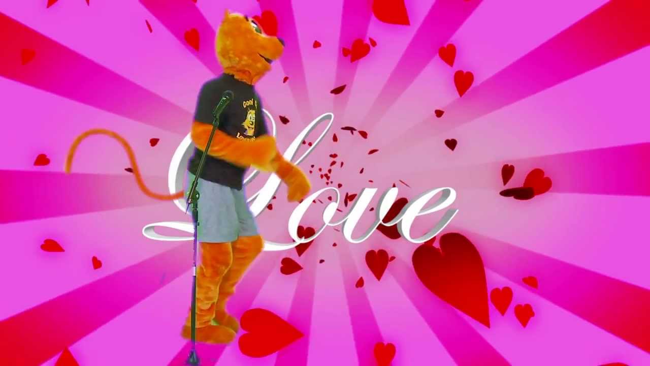 Derek Savage "Cool Cat Boogie" Music Video