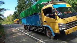 Download lagu Safira Inema - JAJAL KOWE DADI AKU mp3