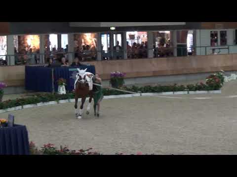 EM Vaulting  - Tech Marina - Ermelo 2019