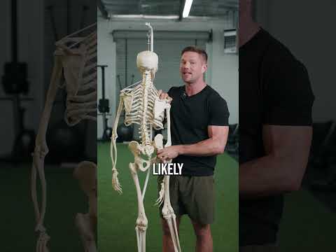 The Quadratus Lumborum: The Low Back Killer Muscle