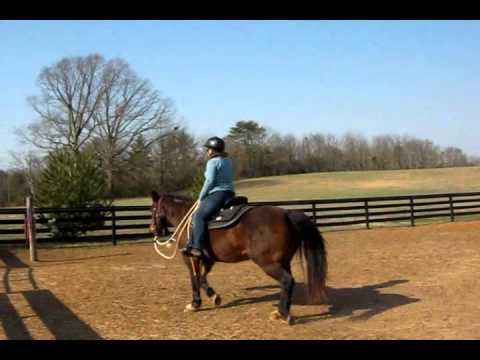 Fundamental Riding Part 1