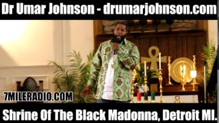 Dr Umar Johnson - Shrine of the Black Madonna Pt1
