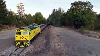 Trains in South Australia: Tailem Bend Grain with a 7 Loco Lashup