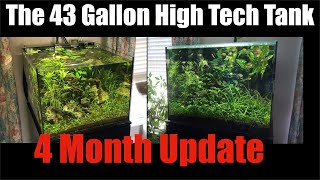 43 Gallon 4 month Update