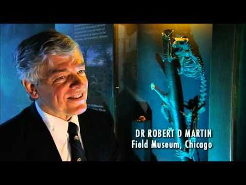 The Beasts Within 1/4