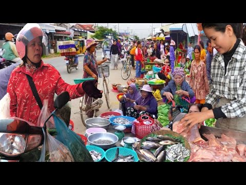 Wow ! Cambodian Wholesale Fish Market Scenes   Largest Fish Distribution Site in Siem Reap