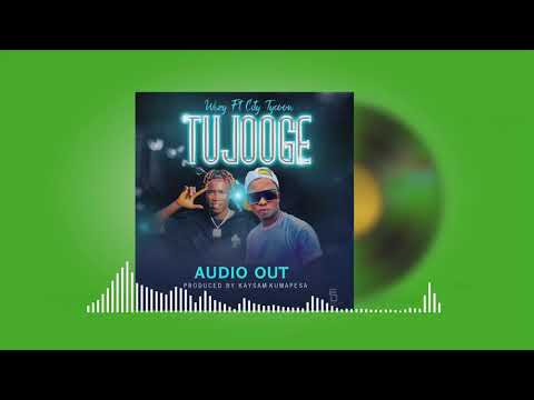 CITY TYCOON - TUJOOGE (Official audio out) ft WIZZY