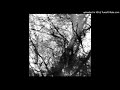 Grouper - Black Out