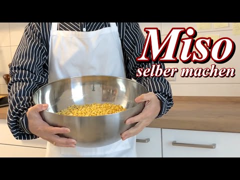 [Miso] Miso selber machen zu Hause in Deutschland 2021