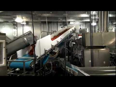 A Tour of McDonald's Meat Factories