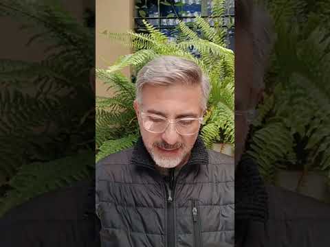 Evangelio del Nuestro Señor Jesucristo Con el Padre Fabian Esteban Oliva. 12/05/26