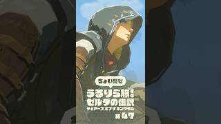 ちょい見せうるりら旅 #47【ゼルダの伝説 ティアーズ オブ ザ キングダム Switch2エディション】 #zelda #totk #ゼルダの伝説ティアーズオブザキングダム #ティアキン実況