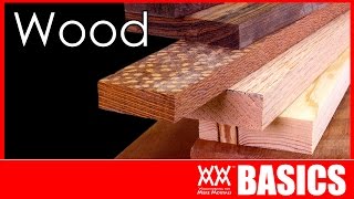 What Kind of Wood Should You Build With? | WOODWORKING BASICS