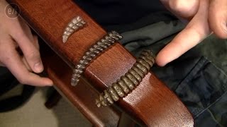 See A Rattlesnake's Rattle Up Close With Pierce!