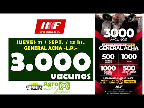 en VIVO - 13 hs. - REMATE de NÉSTOR HUGO FUENTES S.A. - JUE. 11 / SEPT. / 2025 - GENERAL ACHA -L.P.-