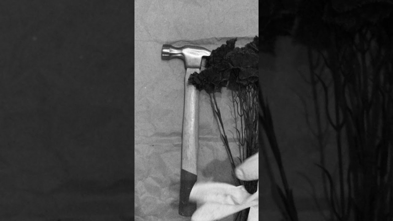 THE HAMMER Vertical trailer