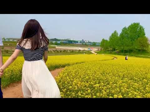 2019.05.12 안성팜랜드