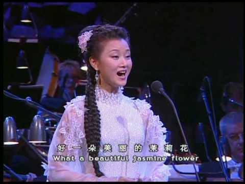 Song Zuying - Jasmine Flower  茉莉花