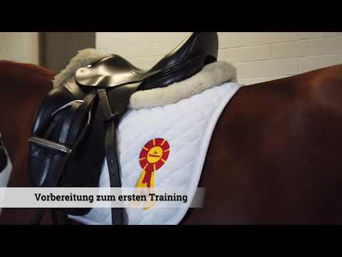 Marbacher Wochenende - es geht los!