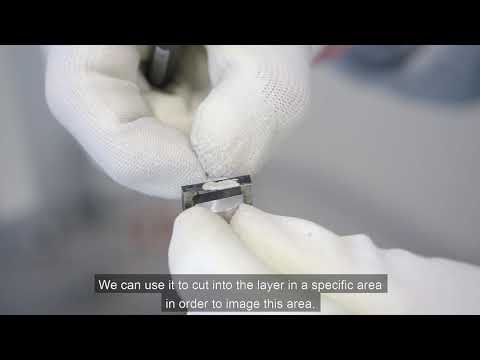 ZSW Scanning Electron Microscope