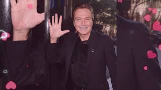 DAVID CASSIDY TRIBUTE-LOVE,LOVE THE LADY