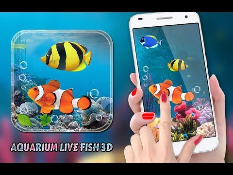 Aquarium Fish Live Wallpaper 2 video