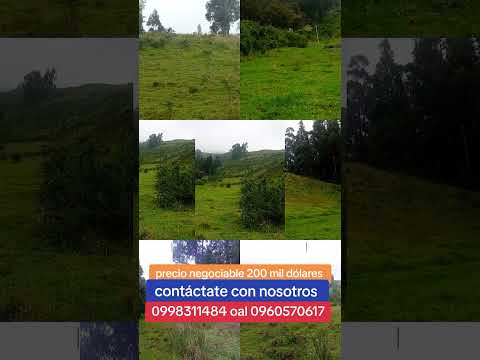 hermosa finca en venta en #cayambe#viral# en la provincia de Pichincha Ecuador