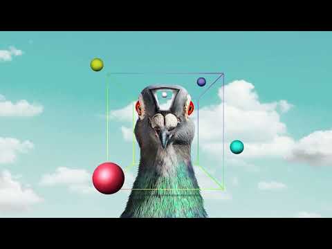 Pigeons Playing Ping Pong - Water [Official Audio]