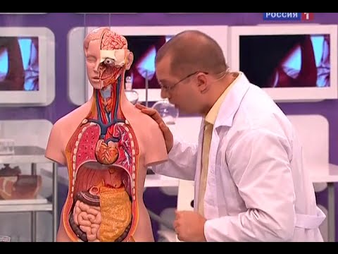 Боли в спине пояснице причины лечение с температурой Санаторий лечение после замены сустава